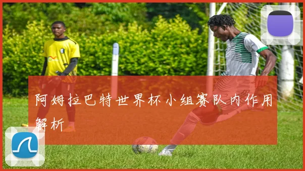 阿姆拉巴特世界杯小组赛队内作用解析